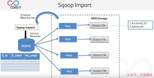 八款主流數據遷移工具技術選型解析，助力數據處理技術開發